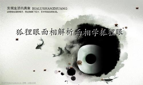 狐狸眼面相解析面相学狐狸眼