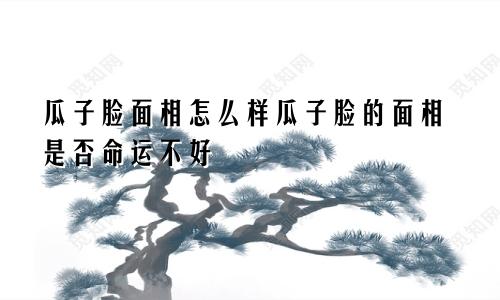 瓜子脸面相怎么样瓜子脸的面相是否命运不好