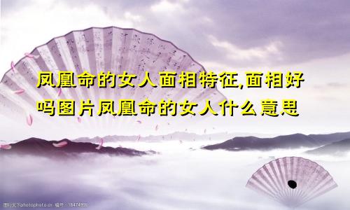 凤凰命的女人面相特征,面相好吗图片凤凰命的女人什么意思