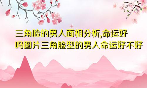 三角脸的男人面相分析,命运好吗图片三角脸型的男人命运好不好