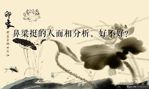 鼻梁挺的人面相分析，好不好？