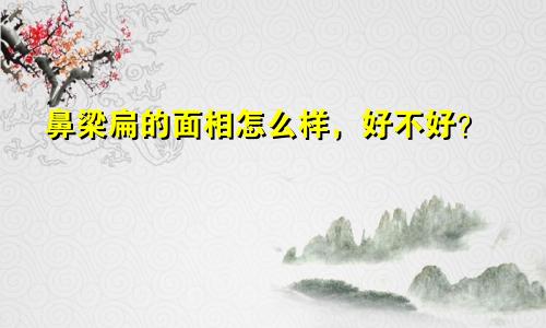 鼻梁扁的面相怎么样，好不好？