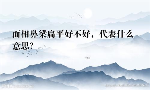 面相鼻梁扁平好不好,代表什么意思?