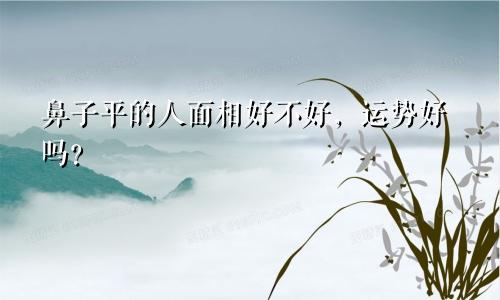 鼻子平的人面相好不好，运势好吗？