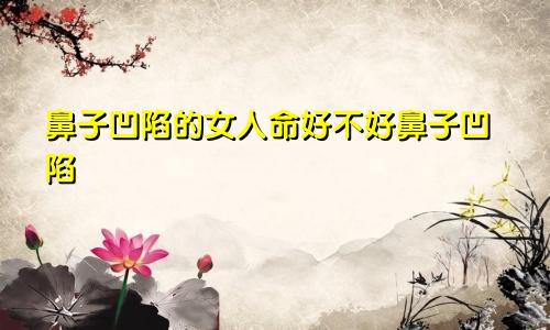 鼻子凹陷的女人命好不好鼻子凹陷