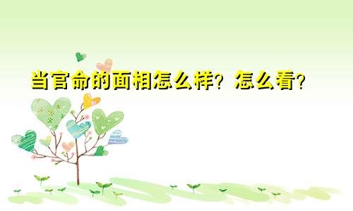 当官命的面相怎么样?怎么看?