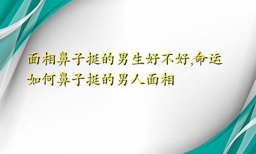 面相鼻子挺的男生好不好,命运如何鼻子挺的男人面相