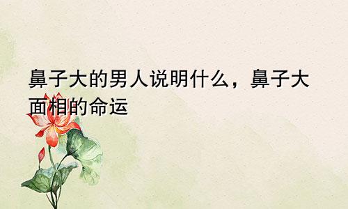 鼻子大的男人说明什么，鼻子大面相的命运