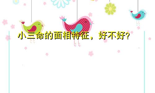 小三命的面相特征，好不好？