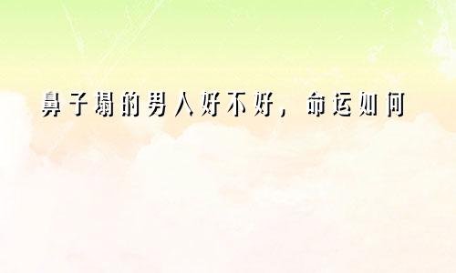 鼻子塌的男人好不好，命运如何