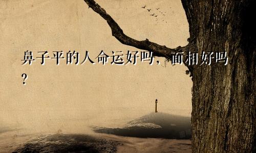 鼻子平的人命运好吗,面相好吗?