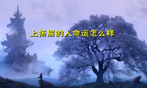 上扬眉的人命运怎么样