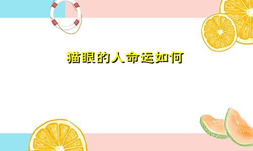 猫眼的人命运如何