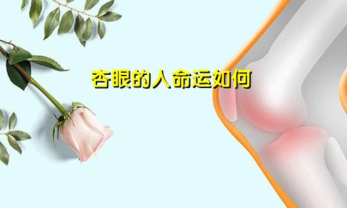 杏眼的人命运如何