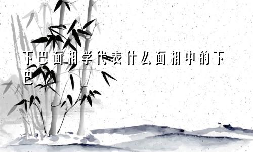 下巴面相学代表什么面相中的下巴