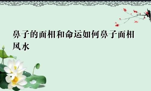 鼻子的面相和命运如何鼻子面相风水