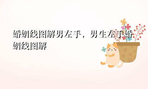 婚姻线图解男左手，男生左手婚姻线图解