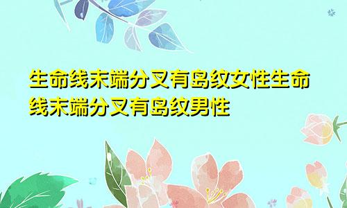 生命线末端分叉有岛纹女性生命线末端分叉有岛纹男性