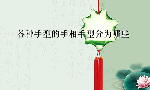 各种手型的手相手型分为哪些