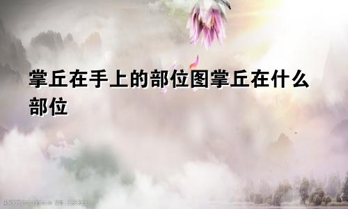 掌丘在手上的部位图掌丘在什么部位