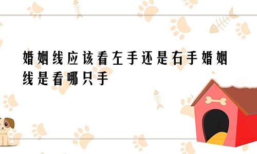 婚姻线应该看左手还是右手婚姻线是看哪只手
