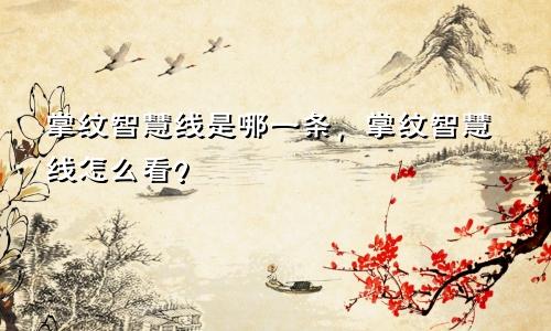 掌纹智慧线是哪一条，掌纹智慧线怎么看？