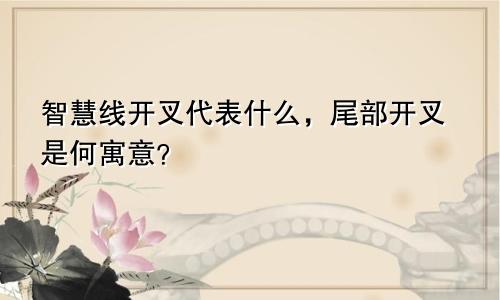 智慧线开叉代表什么,尾部开叉是何寓意?