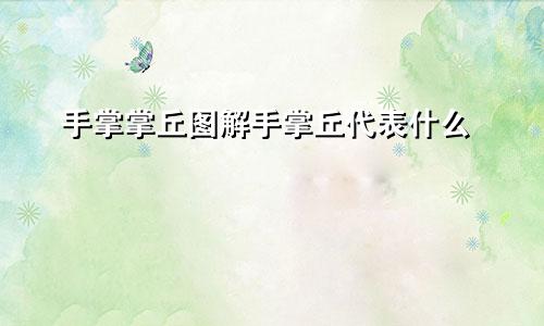 手掌掌丘图解手掌丘代表什么