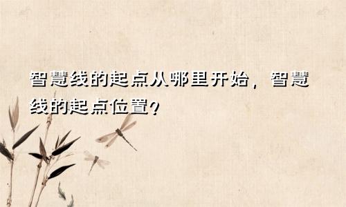 智慧线的起点从哪里开始，智慧线的起点位置？