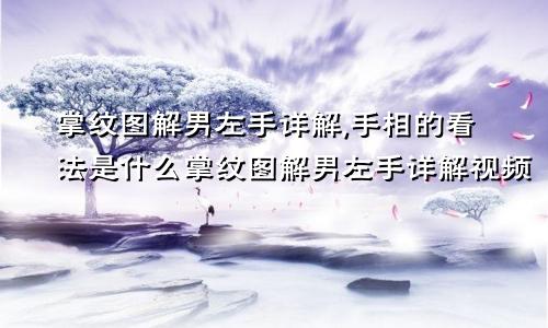 掌纹图解男左手详解,手相的看法是什么掌纹图解男左手详解视频