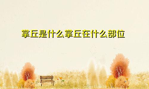 掌丘是什么掌丘在什么部位