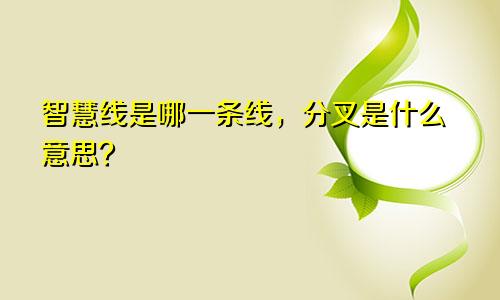 智慧线是哪一条线，分叉是什么意思？