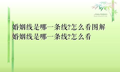 婚姻线是哪一条线?怎么看图解婚姻线是哪一条线?怎么看