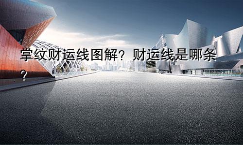 掌纹财运线图解?财运线是哪条?