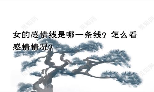 女的感情线是哪一条线？怎么看感情情况？