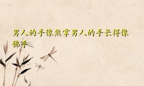 男人的手像熊掌男人的手长得像佛手