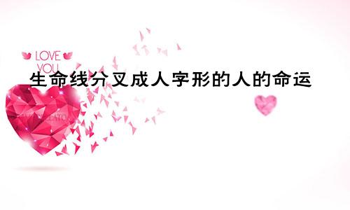 生命线分叉成人字形的人的命运