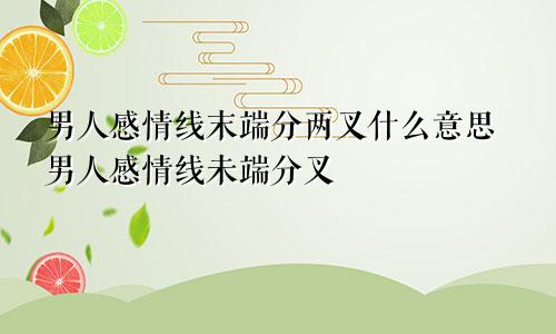男人感情线末端分两叉什么意思男人感情线未端分叉