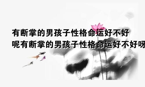 有断掌的男孩子性格命运好不好呢有断掌的男孩子性格命运好不好呀