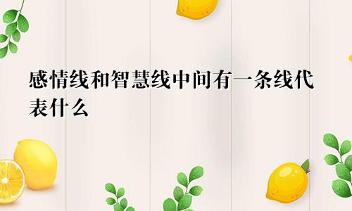 感情线和智慧线中间有一条线代表什么