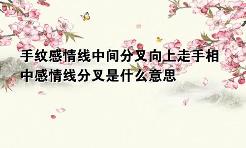 手纹感情线中间分叉向上走手相中感情线分叉是什么意思