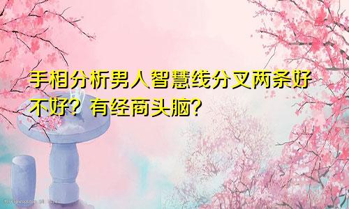 手相分析男人智慧线分叉两条好不好？有经商头脑？