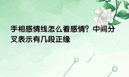 手相感情线怎么看感情？中间分叉表示有几段正缘