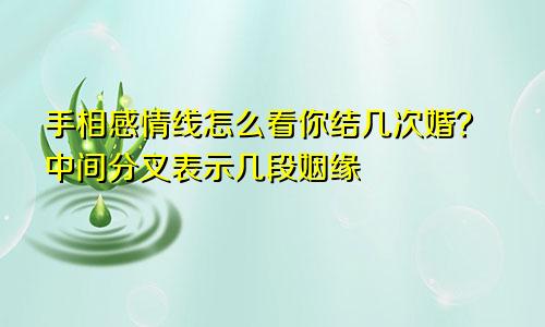 手相感情线怎么看你结几次婚？中间分叉表示几段姻缘