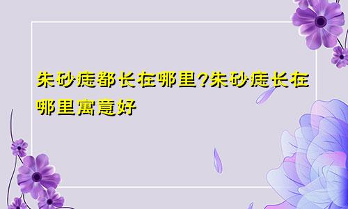 朱砂痣都长在哪里?朱砂痣长在哪里寓意好