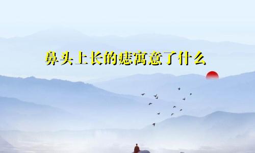 鼻头上长的痣寓意了什么