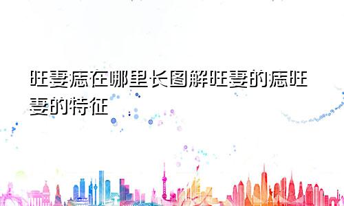 旺妻痣在哪里长图解旺妻的痣旺妻的特征