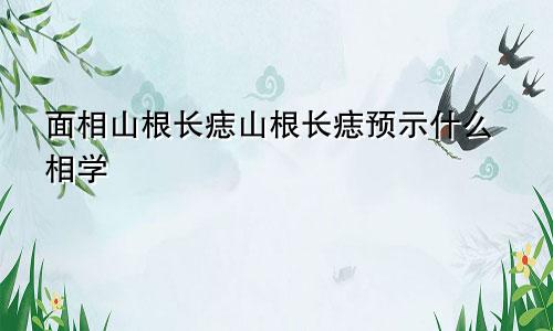 面相山根长痣山根长痣预示什么相学
