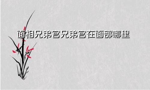 面相兄弟宫兄弟宫在面部哪里