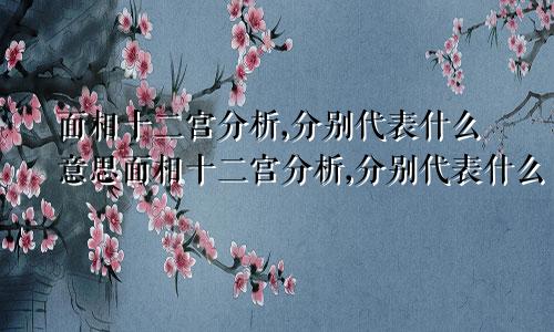 面相十二宫分析,分别代表什么意思面相十二宫分析,分别代表什么